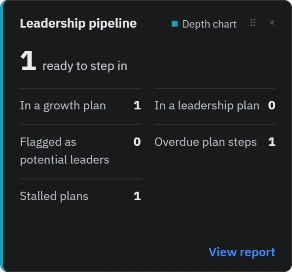 Leadership pipeline tile: who’s ready to step in.